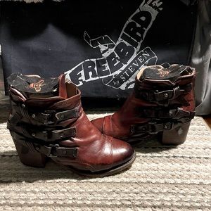 Freebird by Steven Circe